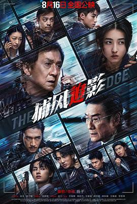 跟踪(中国内地版)